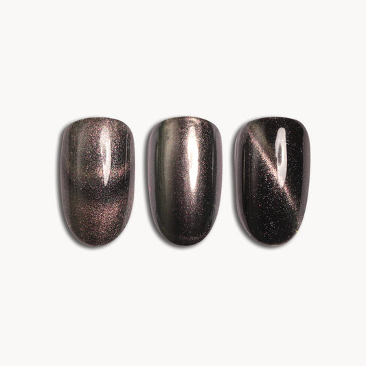 03 Pigment magnetic 5D