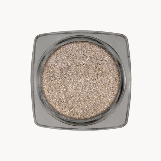 Polvere glitter silver mirror 0,5gr