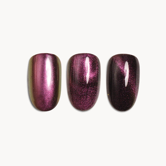 01 Pigment magnetic 5D