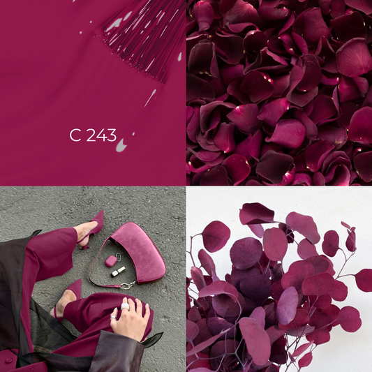 Uv Lac C 243 8ml